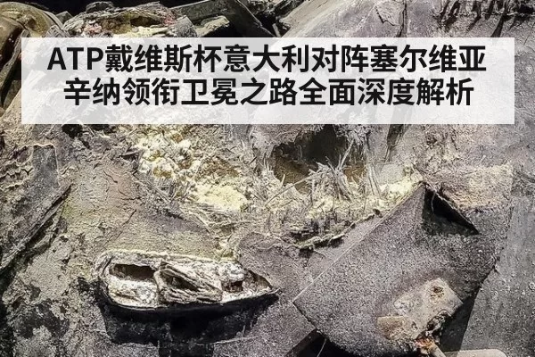 ATP戴维斯杯意大利对阵塞尔维亚辛纳领衔卫冕之路全面深度解析