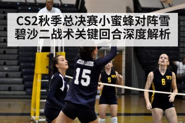CS2秋季总决赛小蜜蜂对阵雪碧沙二战术关键回合深度解析
